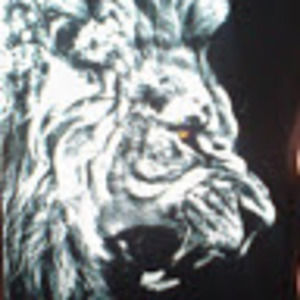 Meet your Posher, Dohas